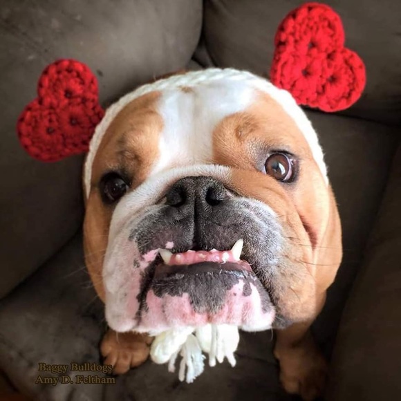 Meet your Posher, Jessi - Picture 10 of 13